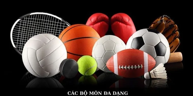 Khám Phá Thế Giới Thể Thao EE88: Niềm Vui Và Đam Mê Bùng Nổ
